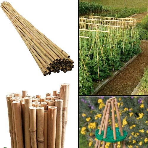 ONE PIECE 4FT BAMBOO CANE 120CM