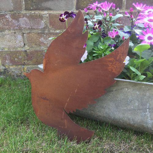 Rusted DOVE Sign Metal Home Garden Ornament Sign Bird Animal Feature wall fence UK