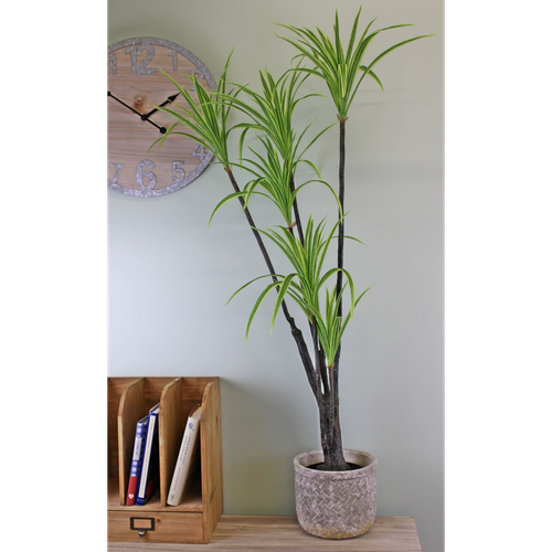 Artificial Dracaena Marginata tree, 120cm